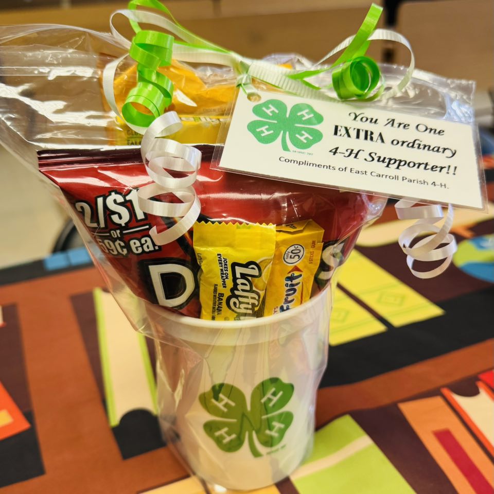Various treats in a 4-H cup. 4-H Emblem logo.